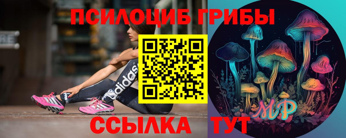 Галлюциногенные грибы MAGIC MUSHROOMS Бийск
